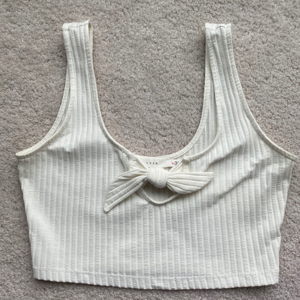 Dry Goods Crop Top